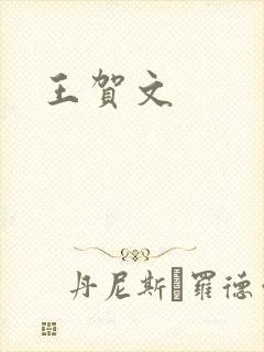 王贺文