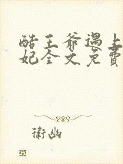 酷王爷遇上穿越妃全文免费阅读