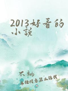 2013好看的小说