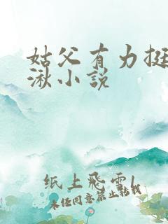 姑父有力挺送徐湫小说