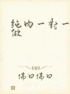 纯肉一对一到处做