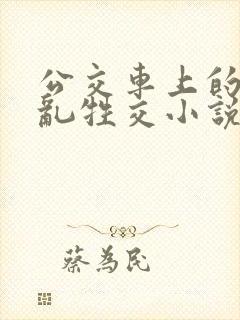 公交车上的疯狂乱牲交小说