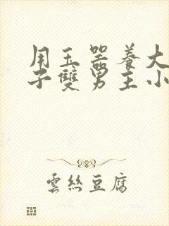 用玉器养大的皇子双男主小说