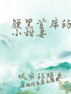 腹黑首席的替身小甜妻