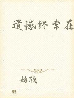 遗憾终常在小说