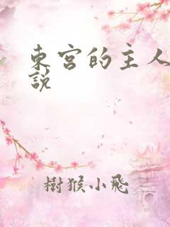 东宫的主人 小说