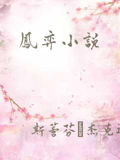 凤弈小说