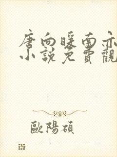 唐向暖南亦琛的小说免费观看