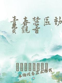 青春禁区动漫免费观看