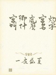 宫卿岚宫灼小说叫什么名字