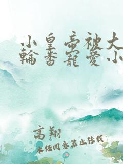 小皇帝被大臣们轮番宠爱小说