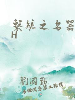 系统之名器勾男H