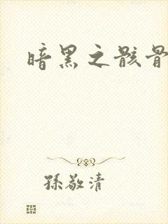 暗黑之骸骨君王