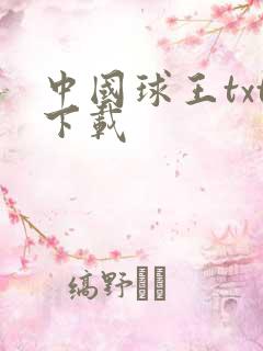 中国球王txt下载