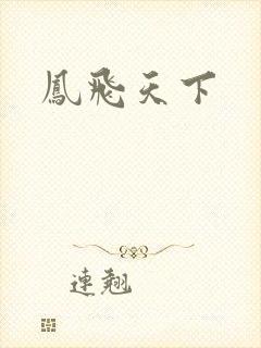 凤飞天下