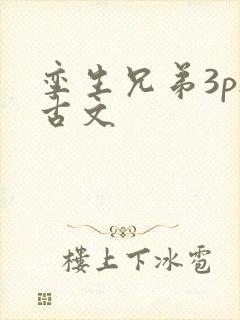 孪生兄弟3ph古文