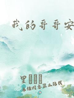 我的哥哥安小天