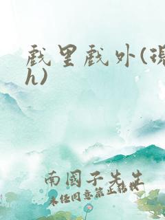 戏里戏外(现场h)