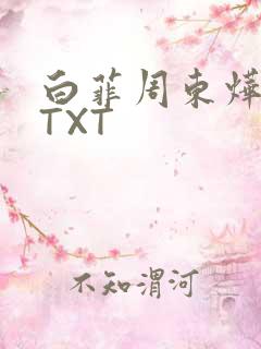 白菲周东烨小说TXT
