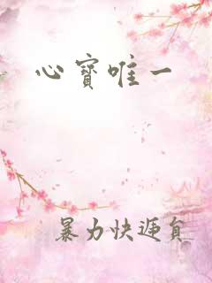 心宝唯一