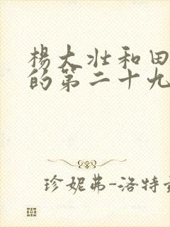 杨大壮和田桂花的第二十九