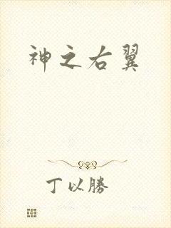 神之右翼