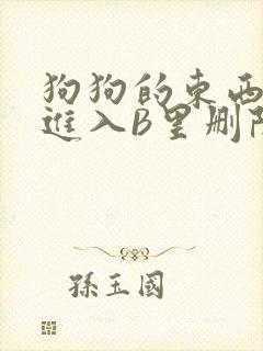 狗狗的东西直接进入B里删除