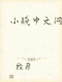 小贱中文网