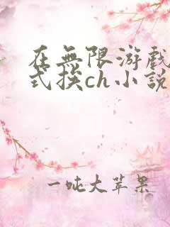 在无限游戏里花式挨ch小说