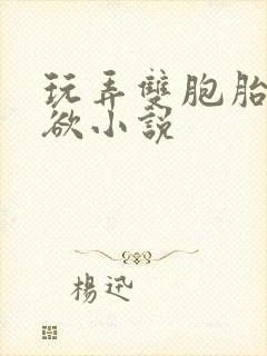 玩弄双胞胎的肉欲小说