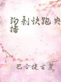 狗剩快跑央八首播