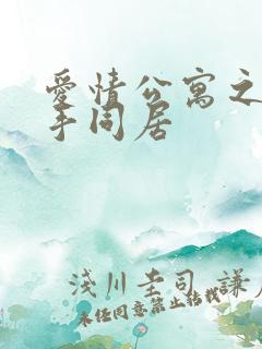 爱情公寓之与杀手同居