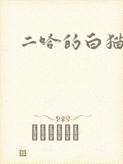 二哈的白猫师尊