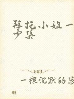 拜托小姐一共多少集