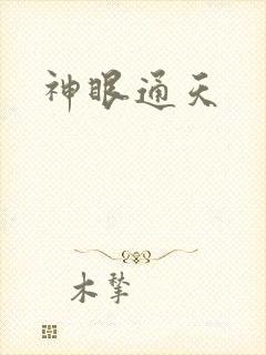 神眼通天