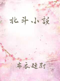 北斗小说