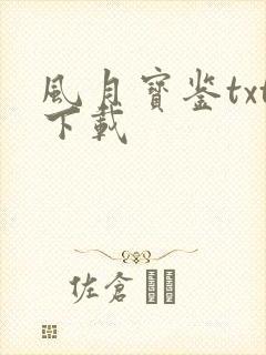 风月宝鉴txt下载