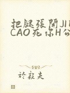 把腿张开JI巴CAO死你H公园