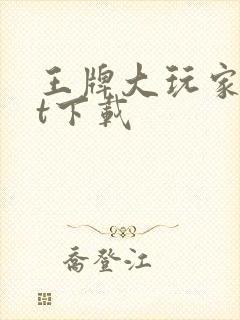 王牌大玩家txt下载