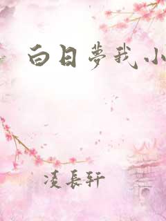 白日梦我小说