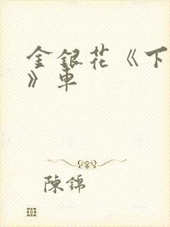 金银花《下厨房》车