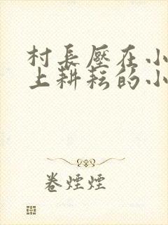 村长压在小娥身上耕耘的小说