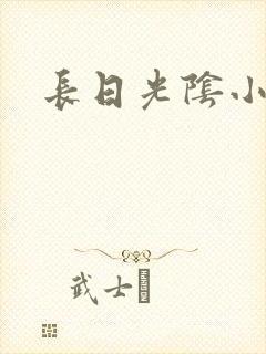 长日光阴小说