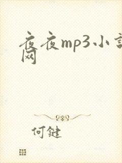 夜夜mp3小说网