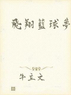 飞翔篮球梦下载