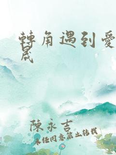 转角遇到爱 李晟