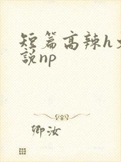 短篇高辣h文小说np