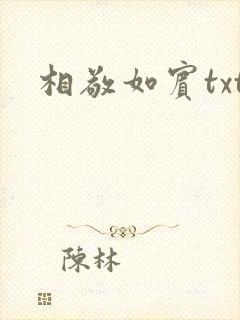 相敬如宾txt