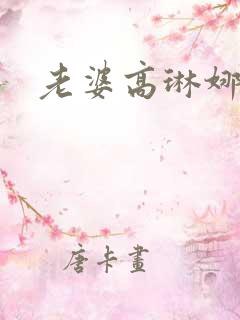 老婆高琳娜出轨