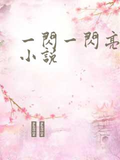 一闪一闪亮星星小说